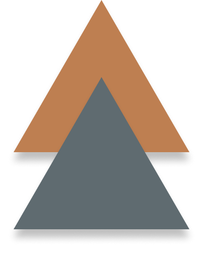 Triangle Icon